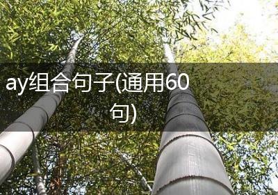 ay组合句子(通用60句)