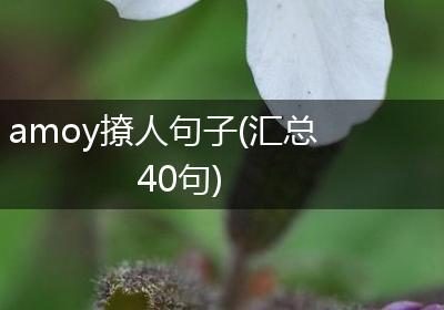 amoy撩人句子(汇总40句)