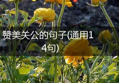 赞美关公的句子(通用14句)