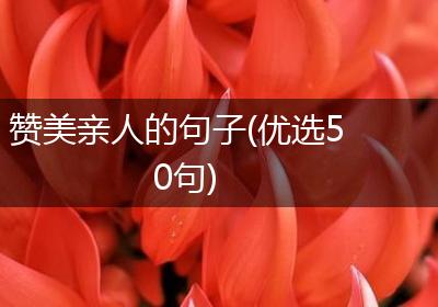 赞美亲人的句子(优选50句)