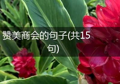 赞美商会的句子(共15句)