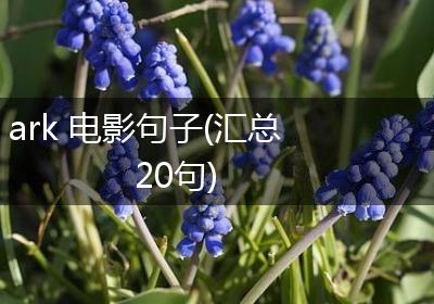 ark 电影句子(汇总20句)