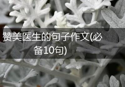 赞美医生的句子作文(必备10句)
