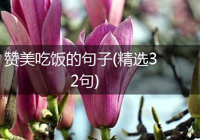 赞美吃饭的句子(精选32句)