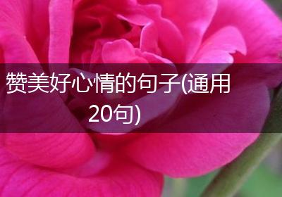 赞美好心情的句子(通用20句)