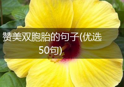 赞美双胞胎的句子(优选50句)