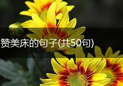 赞美床的句子(共50句)