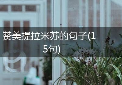 赞美提拉米苏的句子(15句)
