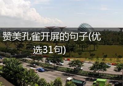 赞美孔雀开屏的句子(优选31句)