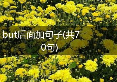 but后面加句子(共70句)
