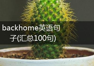 backhome英语句子(汇总100句)
