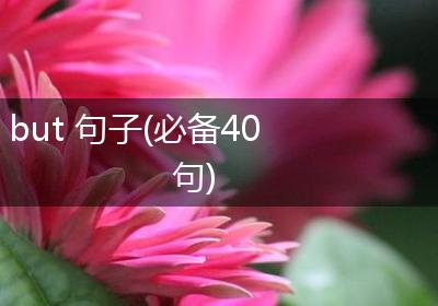 but 句子(必备40句)