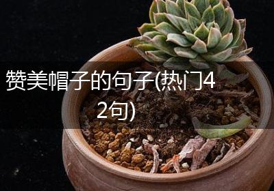 赞美帽子的句子(热门42句)