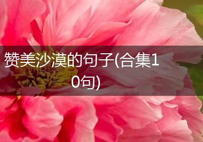 赞美沙漠的句子(合集10句)