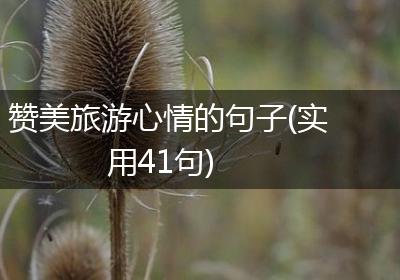 赞美旅游心情的句子(实用41句)