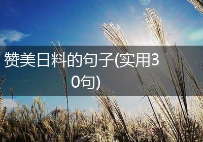 赞美日料的句子(实用30句)