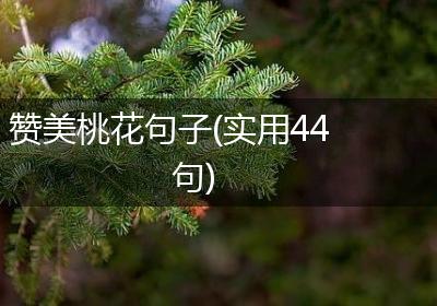 赞美桃花句子(实用44句)