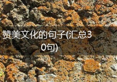 赞美文化的句子(汇总30句)