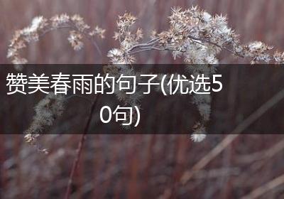 赞美春雨的句子(优选50句)