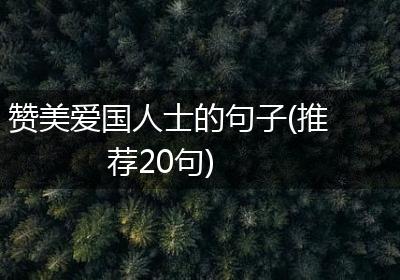 赞美爱国人士的句子(推荐20句)