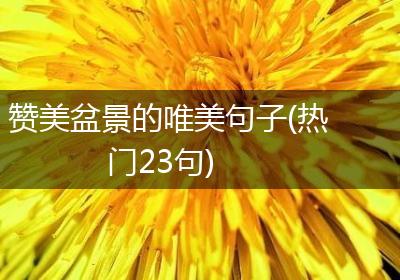 赞美盆景的唯美句子(热门23句)