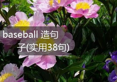 baseball 造句子(实用38句)