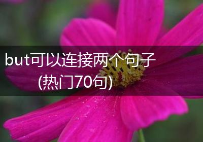 but可以连接两个句子(热门70句)