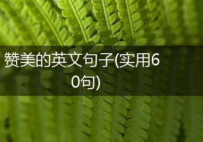 赞美的英文句子(实用60句)