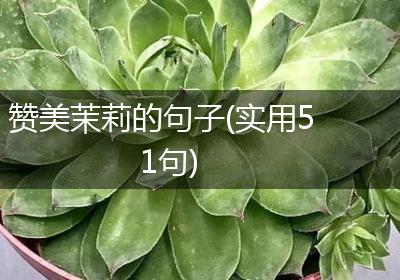 赞美茉莉的句子(实用51句)