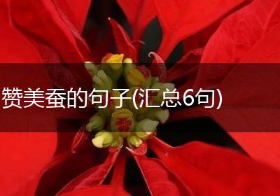 赞美蚕的句子(汇总6句)