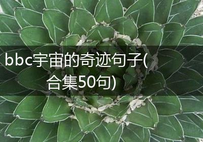 bbc宇宙的奇迹句子(合集50句)