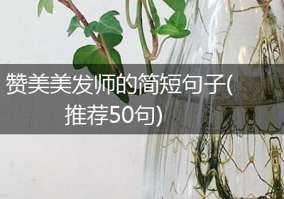 赞美美发师的简短句子(推荐50句)