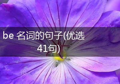 be 名词的句子(优选41句)