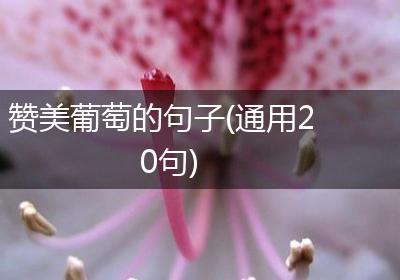 赞美葡萄的句子(通用20句)