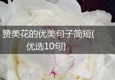 赞美花的优美句子简短(优选10句)