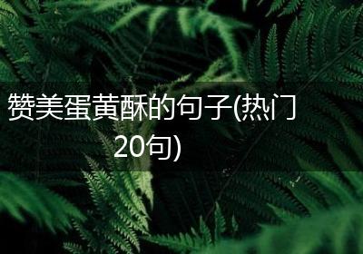 赞美蛋黄酥的句子(热门20句)