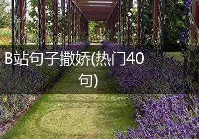 B站句子撒娇(热门40句)