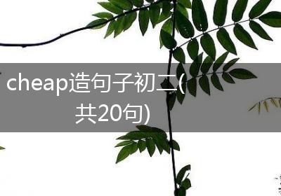 cheap造句子初二(共20句)