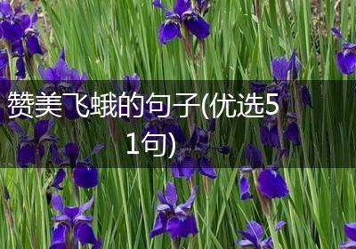 赞美飞蛾的句子(优选51句)