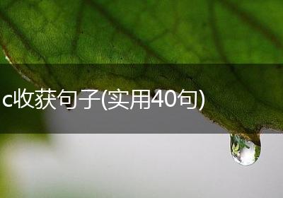 c收获句子(实用40句)