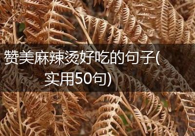 赞美麻辣烫好吃的句子(实用50句)