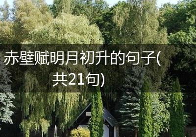 赤壁赋明月初升的句子(共21句)