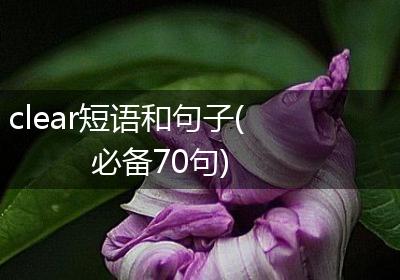 clear短语和句子(必备70句)