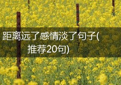 距离远了感情淡了句子(推荐20句)