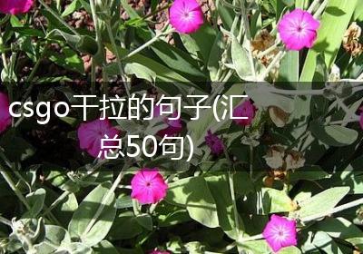 csgo干拉的句子(汇总50句)