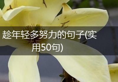 趁年轻多努力的句子(实用50句)