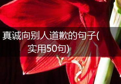 真诚向别人道歉的句子(实用50句)
