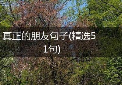 真正的朋友句子(精选51句)