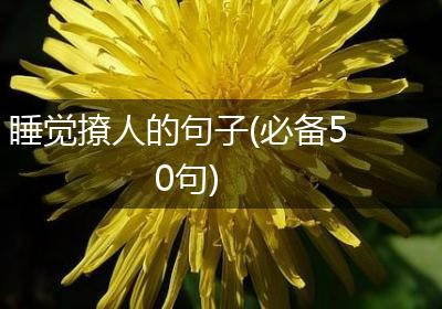 睡觉撩人的句子(必备50句)
