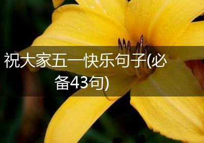 祝大家五一快乐句子(必备43句)